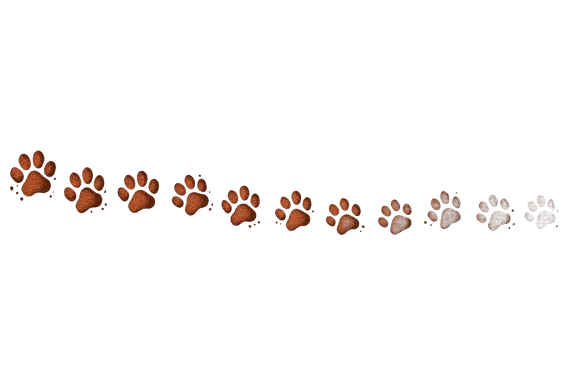 Chenille's paw prints, tracked across the floor toward the door.