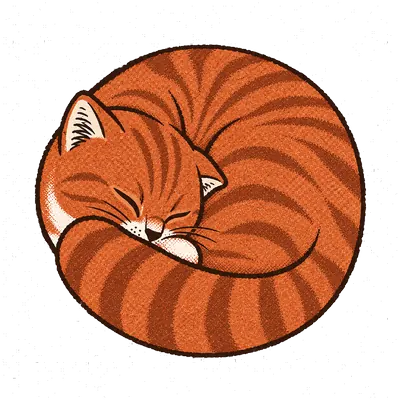 Chenille, the site cat, curled up asleep.