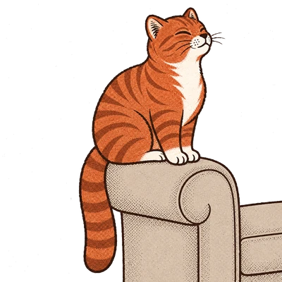 Chenille, the site cat, perched on the arm of the sofa.