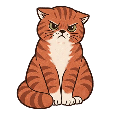 Chenille, the ginger tabby, sitting with her ears flattened back and a genuinely annoyed expression.